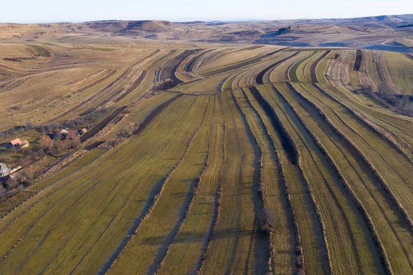 Aerial View Agricultural Fields Autumn — Stock Photo, Image