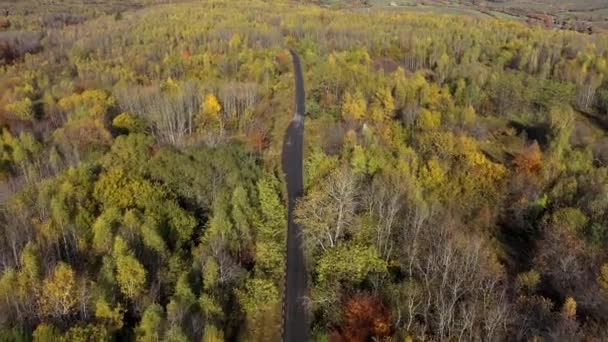 Latanie Nad Barwną Jesienną Drogą Leśną Widok Drony Lotnicze — Wideo stockowe