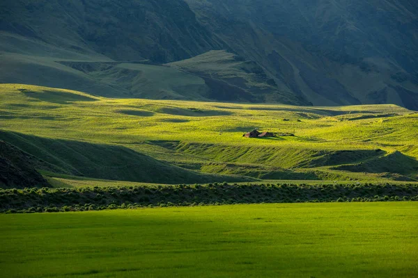 Wunderbare Isländische Landschaft Naturbelassenes Grasland Den Hochgebirgen Späten Nachmittagslicht — Stockfoto