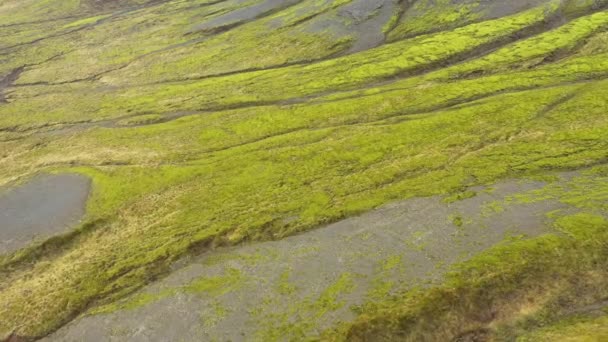 Voando Acima Enorme Planalto Vulcânico Fluxo Lava Com Musgo Verde — Vídeo de Stock