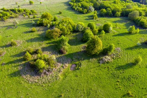 Вид Воздуха Зеленые Пастбища Небольшими Естественными Питьевыми Прудами Буйволов Сельскохозяйственных — стоковое фото