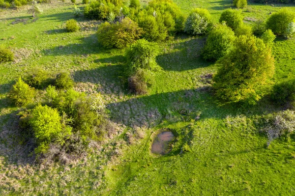 水牛や家畜のための小さな自然飲料池と緑の牧草地の空中ビュー ルーマニアのトランシルヴァニア — ストック写真