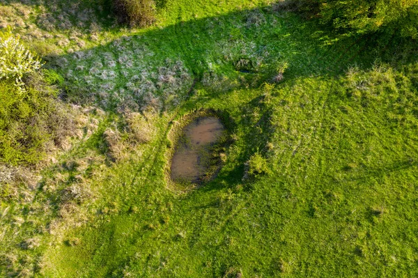 水牛や家畜のための小さな自然飲料池と緑の牧草地の空中ビュー ルーマニアのトランシルヴァニア — ストック写真