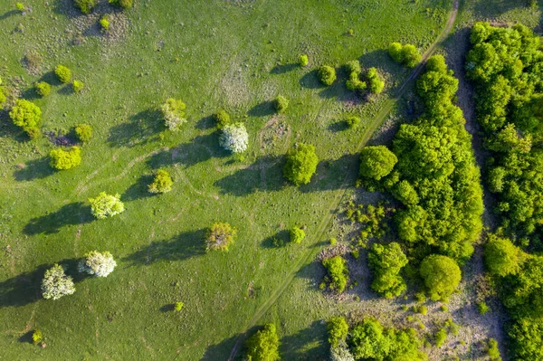 Aerial View Green Wild Pasture Countryside Range Spring — Stockfoto