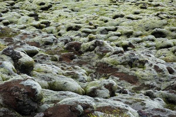 Muschio Coperto Campo Lava Una Giornata Nuvolosa Eldhraun Islanda — Foto Stock