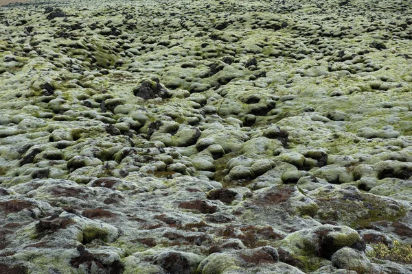 Moosbewachsenes Lavafeld Einem Bewölkten Tag Eldhraun Island — Stockfoto