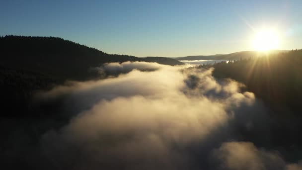 霧の湖の空中ビュー 日の出の間に夜明け暗い光 寒い天候 山の雲の上を飛ぶ — ストック動画
