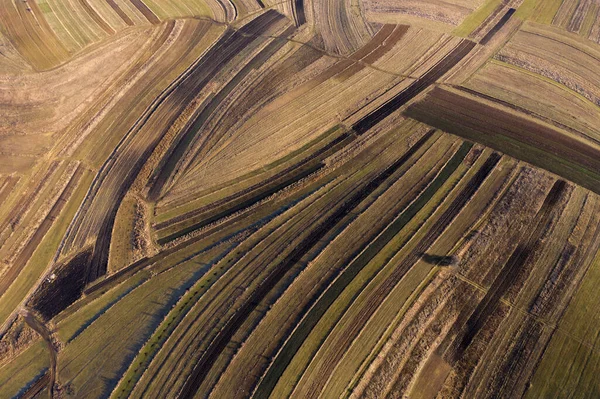 Boven Luchtfoto Landbouwvelden Het Najaar — Stockfoto