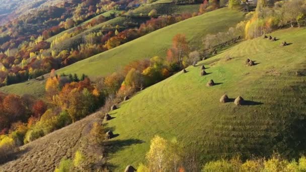Flying Epic Autumn Countryside Pasture Aerial View Typical Landscape Transylvania — Stock video
