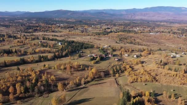 Flying Rural Countryside Landscape Homestead Village Autumn Colorful Trees — Video
