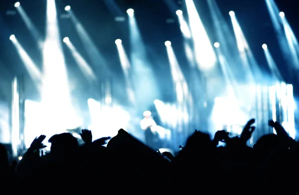 Kalabalık Bir Konserde Kaldırdı Kollarını Silüeti Dikiz Yaz Müzik Festivali — Stok fotoğraf