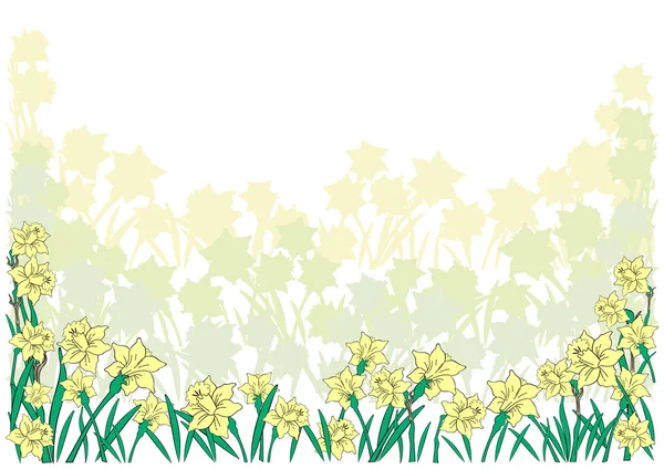 Abstract narcissi border — Stock Vector