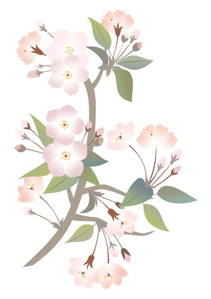 抽象的なリンゴの木の枝 — ストックベクタ