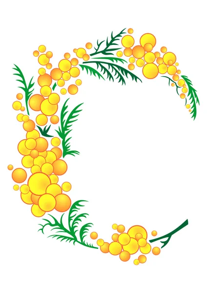 Ramo astratto mimosa — Vettoriale Stock