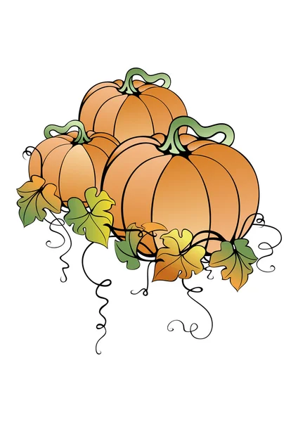 Pumpkins with leaves — Stock Vector