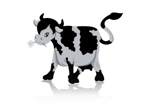 Cow chewing flower — Stock Vector
