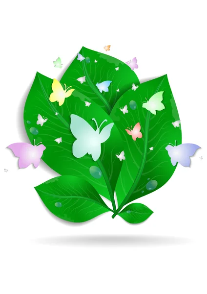 Zelené listy s motýly a kapky vody — Stockový vektor