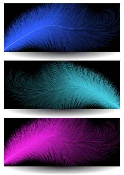 Bannières de plumes abstraites — Image vectorielle