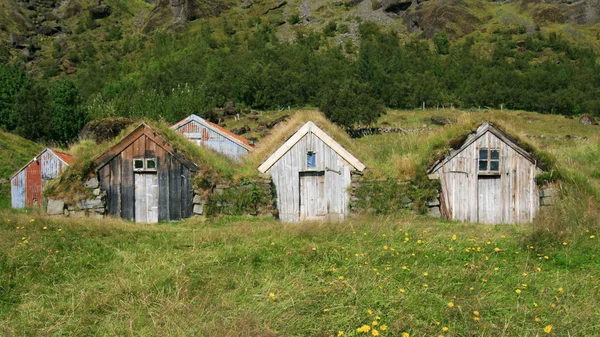 在冰岛的草坪小屋 — 图库照片