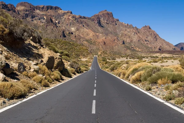 Road through National Park of Teide — Stock Photo, Image