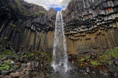 svartifoss Şelalesi