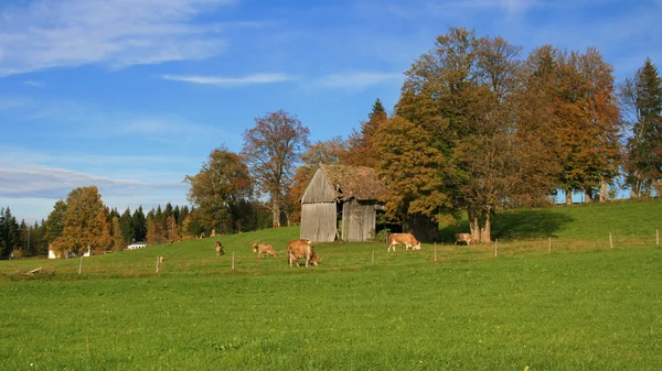 Scena rurale in Baviera — Foto Stock
