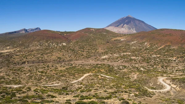 Arid landscape in Tenerife — Stock Photo, Image