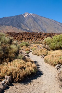 Mount teide iz