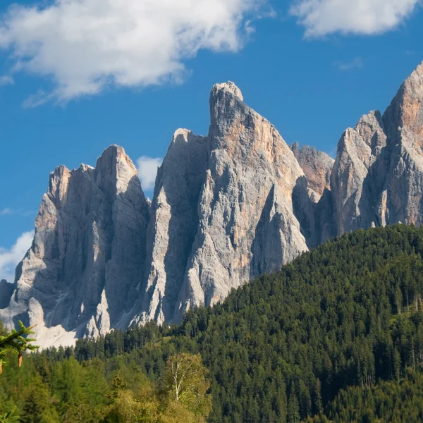 Odle needles — Stock Photo, Image