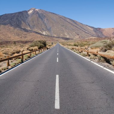 yol Tenerife