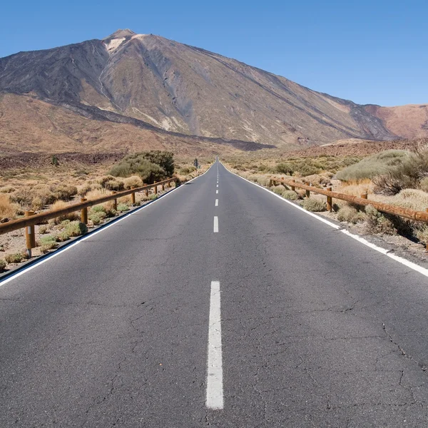 Camino en tenerife —  Fotos de Stock