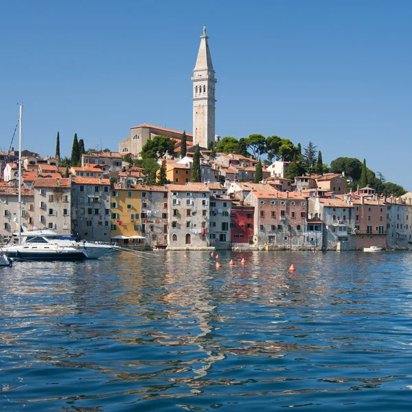 Rovinj og Saint Euphemia – stockfoto