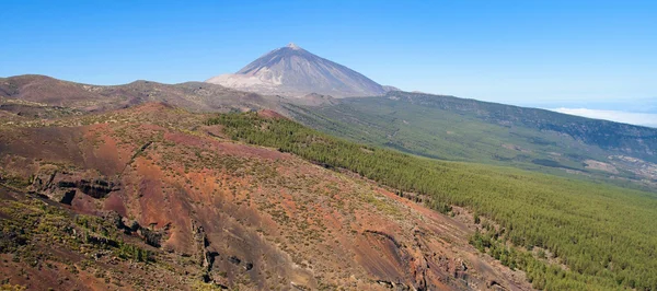 Teide och la oratava skog — Stockfoto