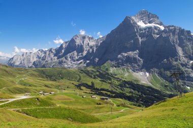 wetterhorn ve reichenbachtal