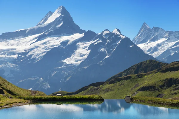 Schreckhorn, Bachalpsee en finsteraarhorn — Stockfoto