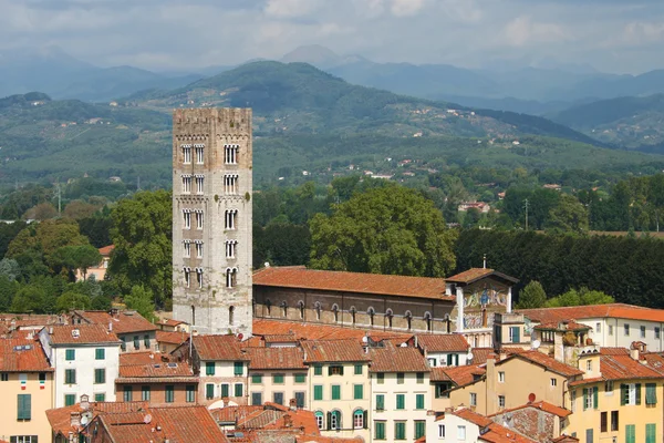 Campanile San Frediano en Lucca — Foto de Stock