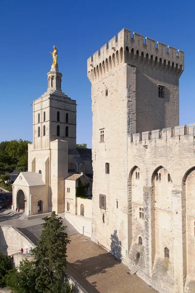 Katedra w Awinionie i Tour de la campane — Zdjęcie stockowe
