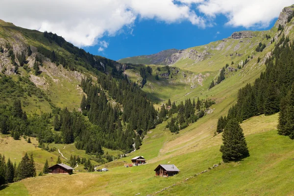 Bernese Oberland — Stock fotografie