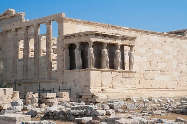 Porch of the Caryatids — Stock Photo, Image