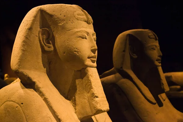 Torino Italy Серпня 2021 Sphinx Egyptian Museum Turin Italy — стокове фото