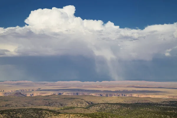 Storm Kaibab Plateau Coconino County Arizona United States — Stock Photo, Image