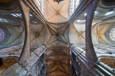 Ceiling ot the Cathedral of Avila, Spain.