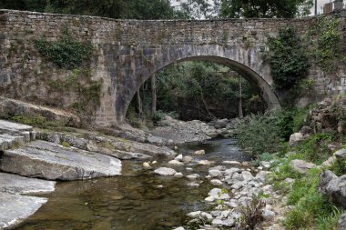 Barcena Belediye Başkanı Argoza nehri üzerindeki taş köprü, Cantabria, İspanya.