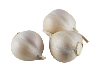 üç çiçek soğanı