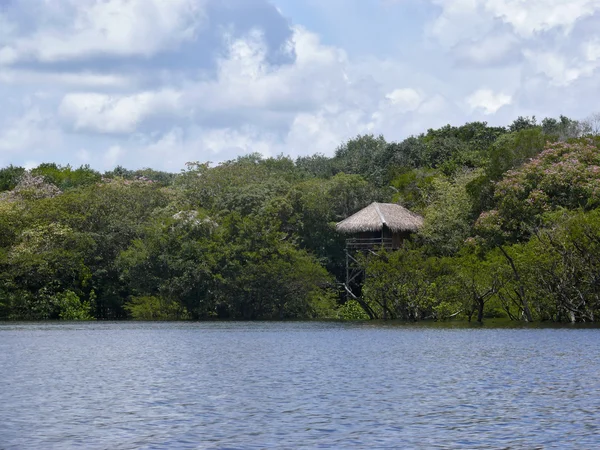 Houten bungalow, Amazone, Brazilië — Stockfoto