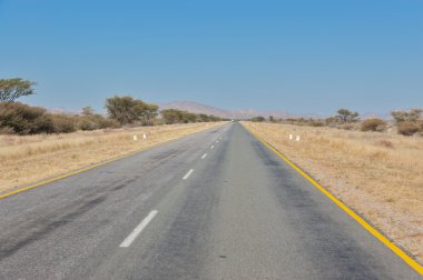 Afrika savana yolda