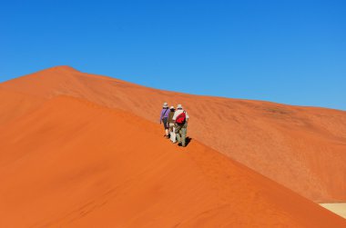 Namibya Çölü, Güney Afrika seyahat
