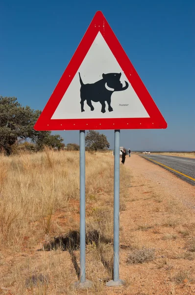 Knobbelzwijn verkeersbord in Namibië — Stockfoto