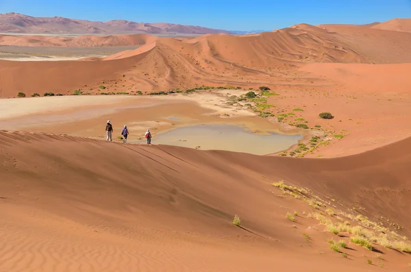 Viajar en el desierto de Namibia, Sudáfrica — Foto de Stock