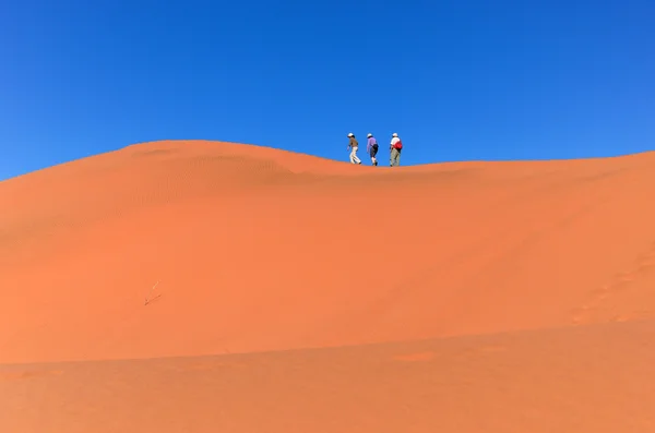 Travel in Namibia desert, South Africa